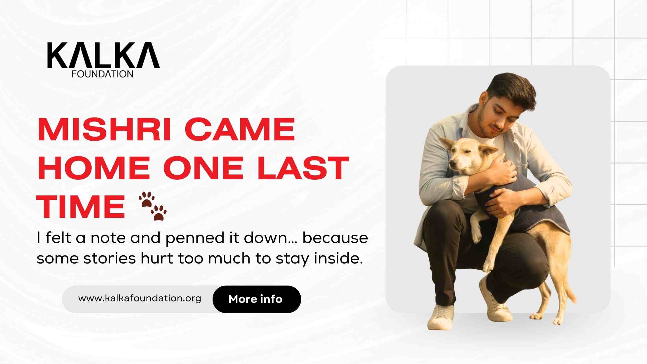 MISHRI CAME HOME ONE LAST TIME