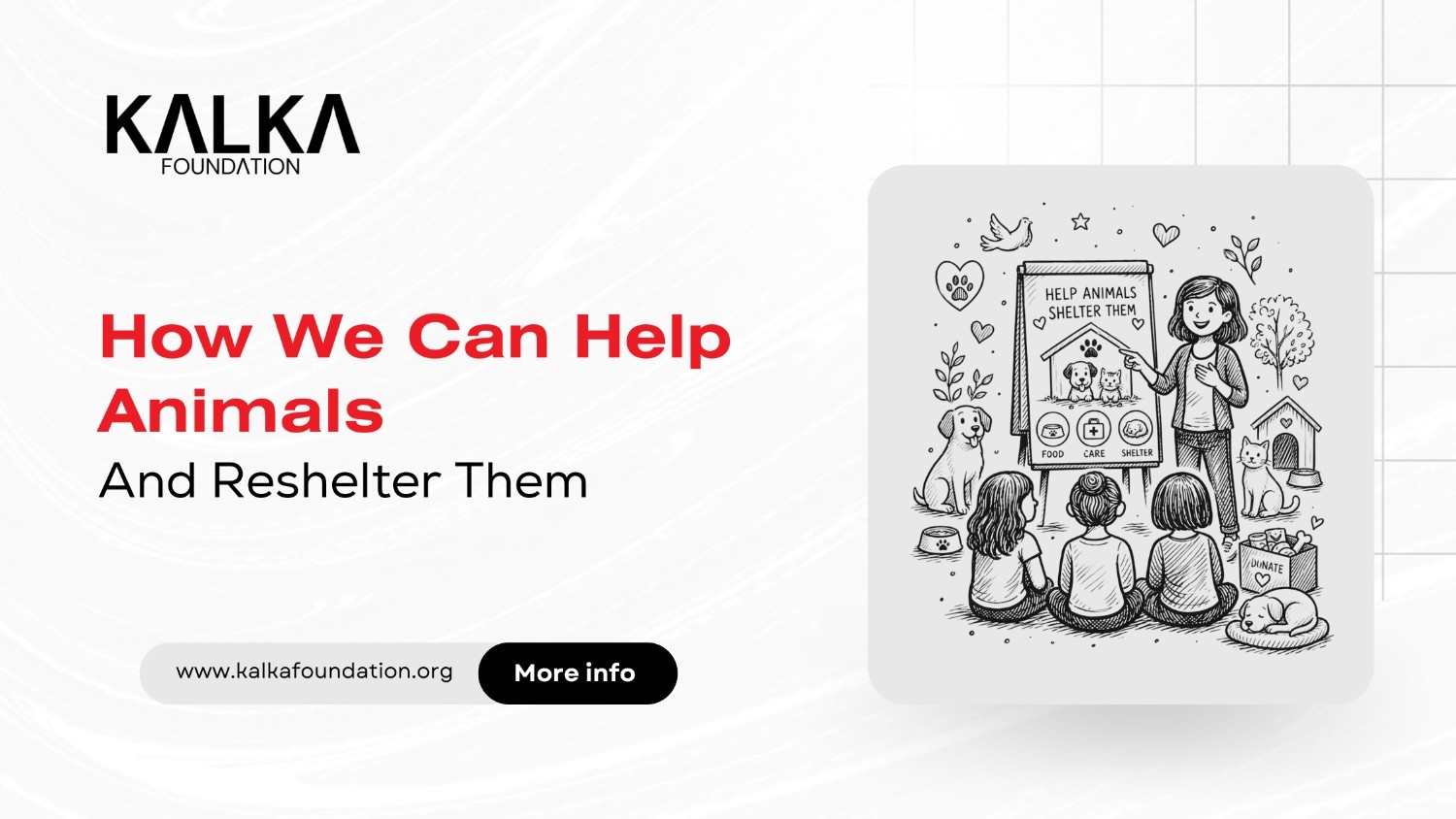 How We Can Help Animals and Reshelter Them